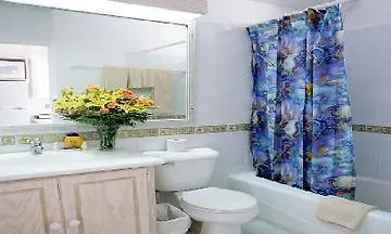 South Gap Hotel Christ Church 3*,  Barbados